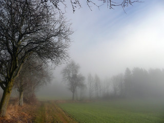Herbstnebel liegt wie eine decke in den T&auml;lern.