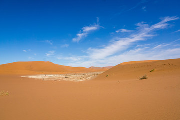 Fototapeta na wymiar Namib Wüste Deadvlei , Sossusvlei