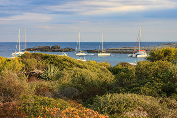 Sea view with yachts and natural flora in summer day, Binibequer beach, Menorca, Spain