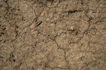 The texture of the earth