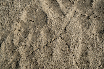 Sand texture