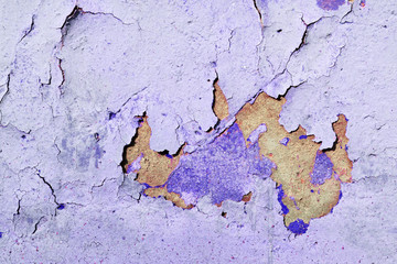 Old purple color wall with cracks close up. Abstract background
