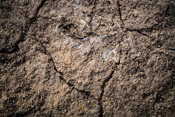 The texture of the earth