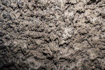 Texture of old rough plaster