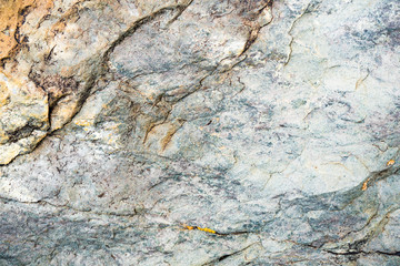 The texture of the stone overgrown with moss. Background image of a boulder