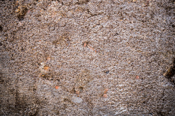 The texture of concrete