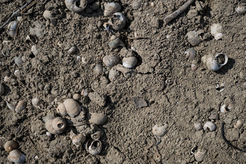 Texture of lifeless river dried river bed