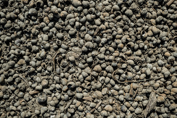 Texture of lifeless river dried river bed