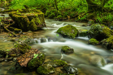 Mountain stream in green Armenian forest in summer.