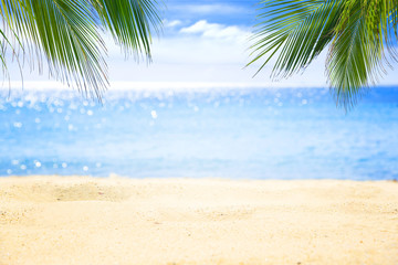 Sand beach and tropical sea.