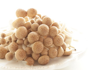 Freshness Shimeji mushroom for Japan on white background with copy space