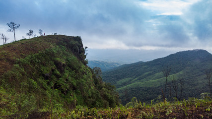 Fototapeta na wymiar Mountain forest in the morning, Phu Soi Dao, Uttaradit Province, Thailand.