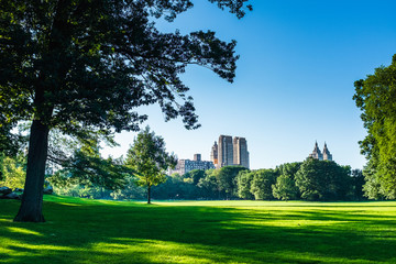 Central park sheep meadow no people