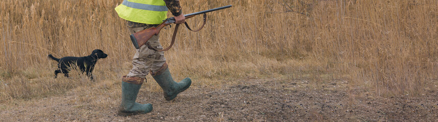 Hunter with a german drathaar and spaniel, pigeon hunting with dogs in reflective vests	