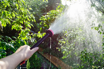 Watering garden equipment - sprinkler hose for irrigation plants. Gardener with watering hose and...