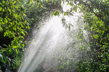 Watering garden equipment - sprinkler hose for irrigation plants. Gardener with watering hose and...