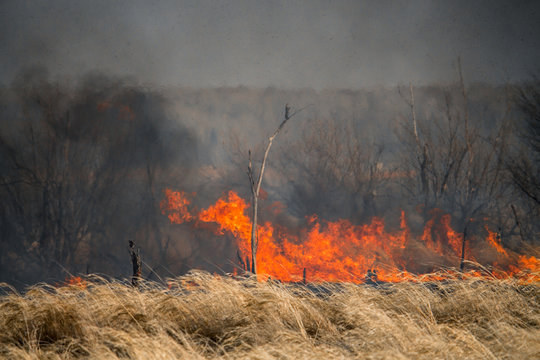 Fire in forest burning orange and red with heavy black smoke