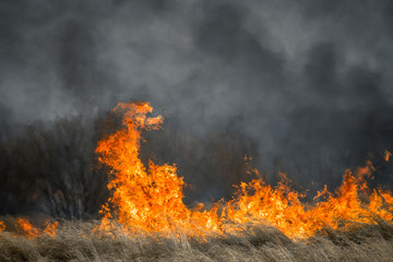 Fire in forest burning orange and red with heavy black smoke