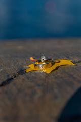 Wedding rings on a maple leaf in the fall. Bright colors in a macro photo.