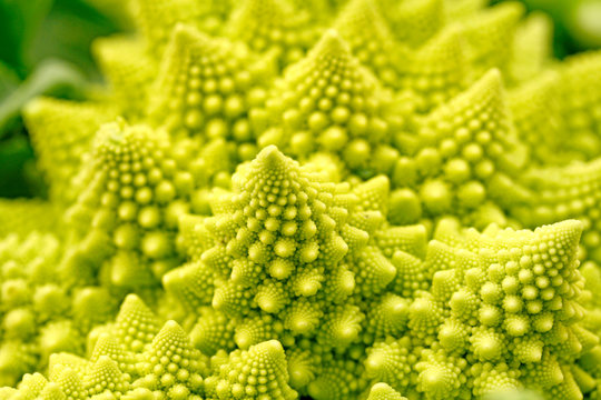 Romanesco broccoli.