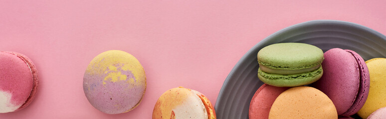 plate with multicolored tasty French macaroons on pink background, panoramic shot