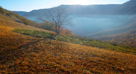 mountain valley in a blue mist at the early morning