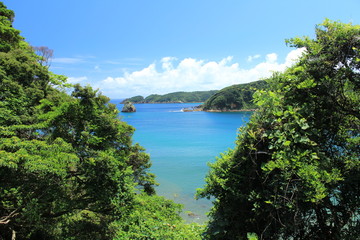 伊豆下田　夏の外浦海岸