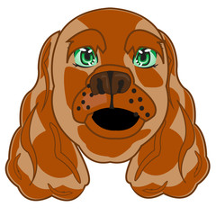 Vector illustration of the mug of the dog spaniel