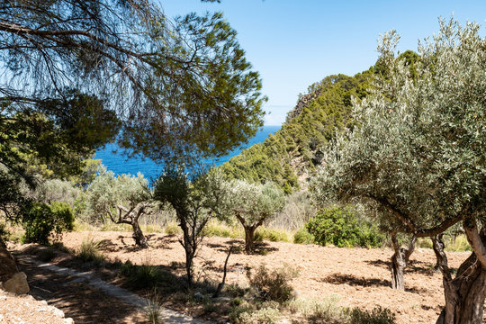 Mallorca, Cala Cas Xeremier