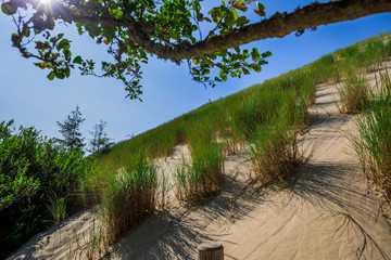 Moving Dunes in Northern Poland. A Desert by the Sea. Incredible Place on Earth. Pictures Taken in Very Hot Day with No Clouds.