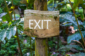 Text exit on a wooden board in a rainforest jungle of tropical Bali island, Indonesia. Exit wooden sign inscription in the asian tropics.