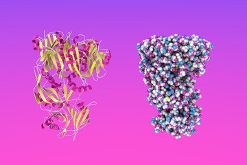 Molecular and crystal structure of typhoid toxin produced by bacterium Salmonella typhi. Medical background. Scientific background. 3d illustration