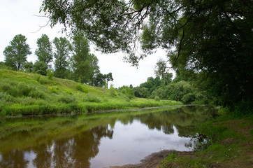 Landscape with forest river and green grass. Luchosa, Vitebsk, Belarus