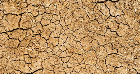 Cracked earth due to drought