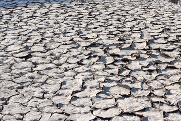 The surface of the waterless cracked grey soil