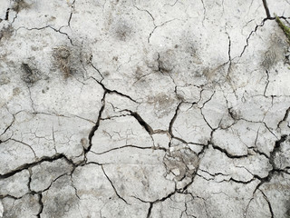 Cracked dry ground. Background, top view.