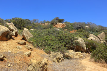 A scenic view of Caminho Da Baleeira nature reserve near to Albufeira