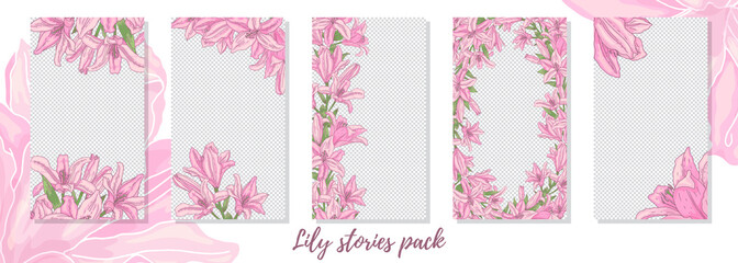 Tender lily vector story templates for social networks