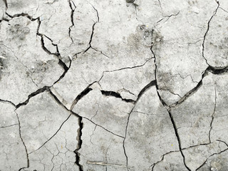 Cracked dry ground. Background, top view.