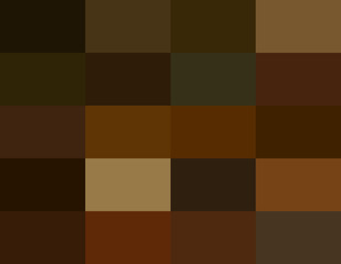 Colored background. Twenty shades of the primary color. Brown.