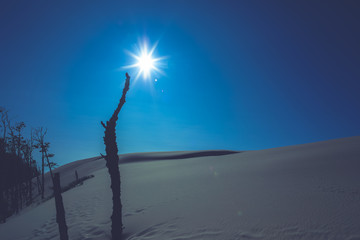 Moving Dunes in Northern Poland. A Desert by the Sea. Incredible Place on Earth. Pictures Taken in...