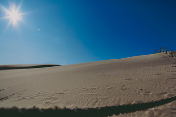 Moving Dunes in Northern Poland. A Desert by the Sea. Incredible Place on Earth. Pictures Taken in Very Hot Day with No Clouds.