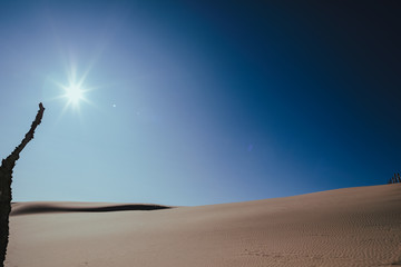 Moving Dunes in Northern Poland. A Desert by the Sea. Incredible Place on Earth. Pictures Taken in...