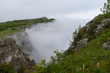 Fototapeta na wymiar heavy fog in the mountains after the rain with growing trees on the slope of a barely visible sea. Spring view of the Crimea.