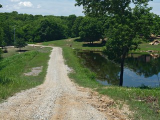 Fototapeta na wymiar Rugged road with a pool of water by the roadside at Chickasaw National Recreation Area in Davis, Oklahoma