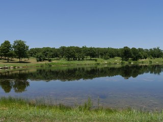 Trees mirrored in the lake waters on a beautiful day at the Chickasaw National Recreation Area in Davis, Oklahoma