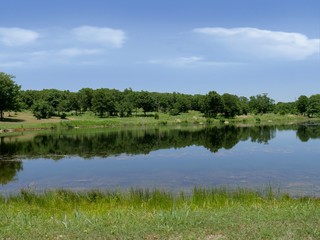 Fototapeta na wymiar Wide lake view with trees mirrored in the lake waters at the Chickasaw National Recreation Area in Davis, Oklahoma