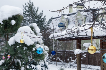 Winter cottage garden in snow with Christmas decoration.Hanging Сolorful Xmas bubbles.