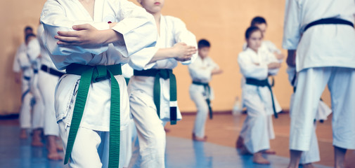 Kids training on karate-do. Banner with space for text. Retro style. For web pages or advertising...