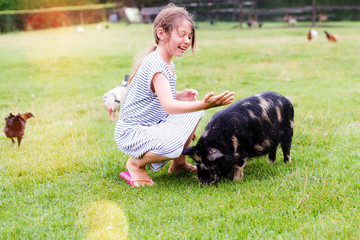 pretty little girl taking care of a dwarf pig